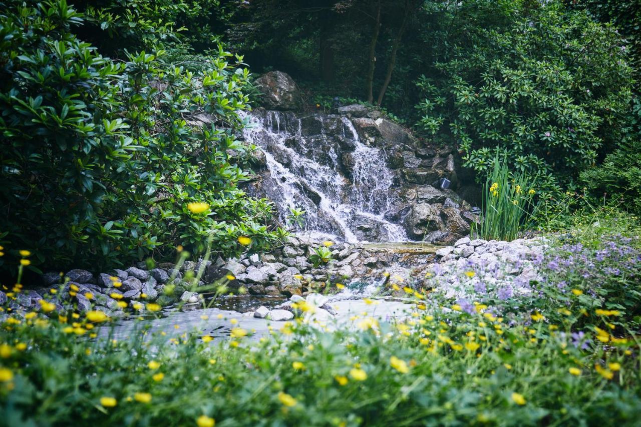 Rüters Parkhotel Willingen  Exteriör bild